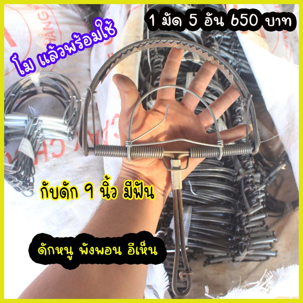กับดักพังพอน กับดักหนู ขนาด 9นิ้วแบบโม แล้วพร้อมใช้1 มัด 5 ตัว ราคา ถูกที่สุด ดีลบีเคเค