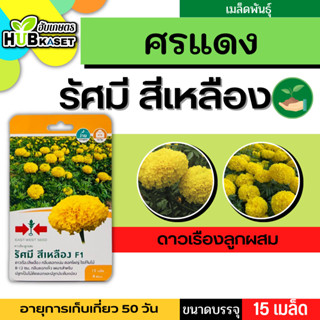 ศรแดง 🇹🇭 ดาวเรืองลูกผสม รัศมี สีเหลือง F1 ขนาดบรรจุประมาณ 15 เมล็ด อายุเก็บเกี่ยว 50 วัน