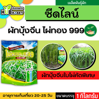 ซีดไลน์ 🇹🇭 ผักบุ้งใบไผ่คัดพิเศษ ไผ่ทอง 999 ขนาดบรรจุประมาณ 1 กิโลกรัม อายุเก็บเกี่ยว 20-25 วัน