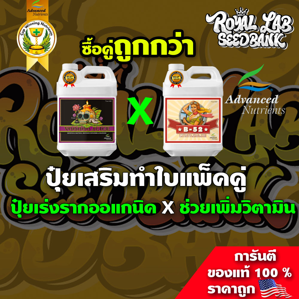 ปุ๋ยเสริมช่วงทำใบแพ็คคู่ ถูกคู่กว่าซื้อแยก #voodoojuice #B-52 รากโตขึ้น 117% ดูดซึมสารอาหารได้ดีขึ้น 700%