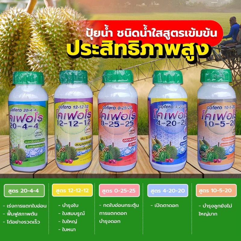 ปุ๋ยน้ำ ปุ๋ยทางใบ บำรุงทุเรียน ทุเรียนเล็ก ทุเรียนใหญ่ ทุเรียนสวยทุเรียนโตดี