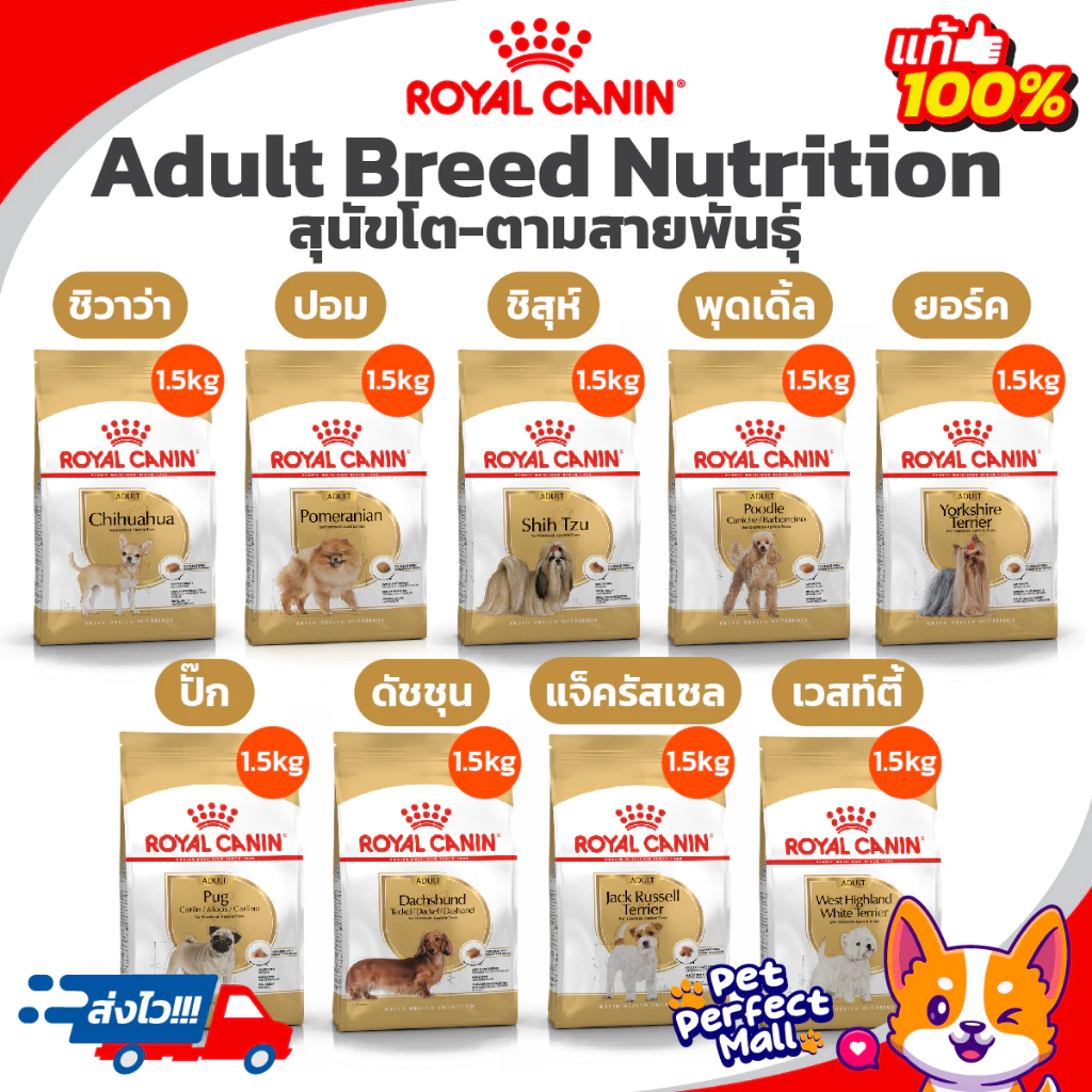 Royal Canin Adult Breed 1.5kg โรยัลคานิน Chihuahua Pomeranian Shih Tzu Poodle York Pug Dachshund Jack Russell Westie 1.5