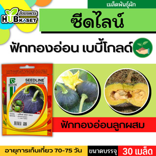 ซีดไลน์ 🇹🇭 ฟักทองอ่อนลูกผสม เบบี้โกลด์ ขนาดบรรจุประมาณ 30 เมล็ด อายุเก็บเกี่ยว 70-75 วัน