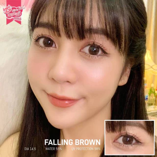 🔥คอนแทคเลนส์✨ขนาดกลาง✨ Falling ✨Kitty Kawaii สี Brown / Black / Gray