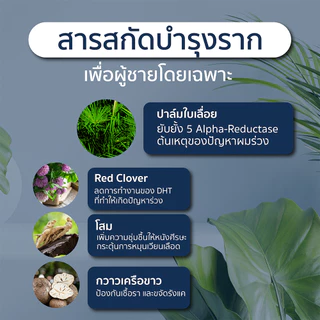 [พร้อมส่ง] HERRMETTO Hair Tonic เฮอร์เมตโต แฮร์โทนิค ลดการหลุดร่วง บาง บำรุงเฉพาะจุด ขนาด 150 ML.
