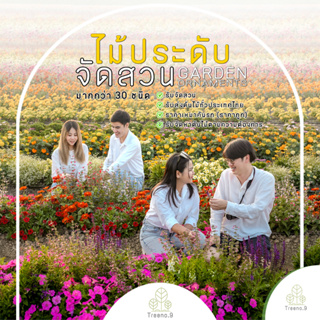 Treeno.9 T40 รวม ไม้ดอก ไม้ประดับจัดสวน - มีให้เลือก 30 ชนิด (รบกวนสั่งซื้อขั้นต่ำ 6 ต้น) / ถุง 6 นิ้ว / สูง 20-40 ซม. / ดอกไม้กินได้ ไม้มงคล (ต้นไม้) (Garden Ornaments)