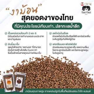 งาขี้ม่อน คั่ว/ป่น ขนาด500กรัม,1กิโล (ตราไทไทแบรนด์) งาขี้ม่อนแม่ฮ่องสอน งาขี้ม่อนคั่วสุก สดใหม่ ประโยชน์เต็มๆ