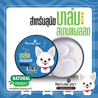 *เห็นผลเร็ว* บาล์มทาแผลสด (สุนัข) Nature Pet บาล์มแผลสด บาล์มสมุนไพร Pet Balm แผลสด แผลผ่าตัด แผลโดนกัด clearance