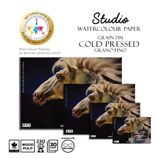 390x270mm MUSEO The LEGEND Studio Watercolor Block Woodpulp สมุดสีน้ำ มูซิโอ้ เดอะเลเจนด์ กาว4ด้าน