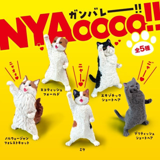 🅟🅕 กาชาปองน้องแมวมารวมตัวกันประท้วง!? 😼🐈 🐈‍⬛😾 Neko NYAoooo!! gashapon