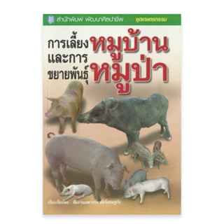 การเลี้ยงและขยายพันธุ์หมูบ้าน หมูป่า