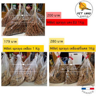 มิลเล็ต แดงนอก/เหลือง เหลืองฝรั่งเศส400g 1 กิโล ช่อใหญ่ๆ พวงโตๆ เกรดA