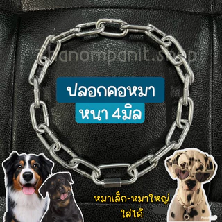 (ไม่มีกระดิ่ง-เหล็กชุบ) ปลอกคอหมา โซ่คอแมว ปลอกคอโซ่ หนา3-4มิล หมาเล็ก-ใหญ่ใส่ได้