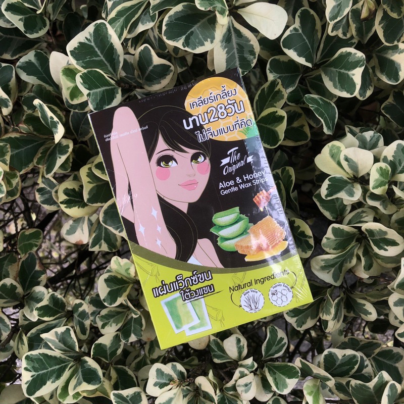 Body Wax แผ่นแวกซ์กำจัดขน The Original Aloe & Honey Gentle Wax Strips
