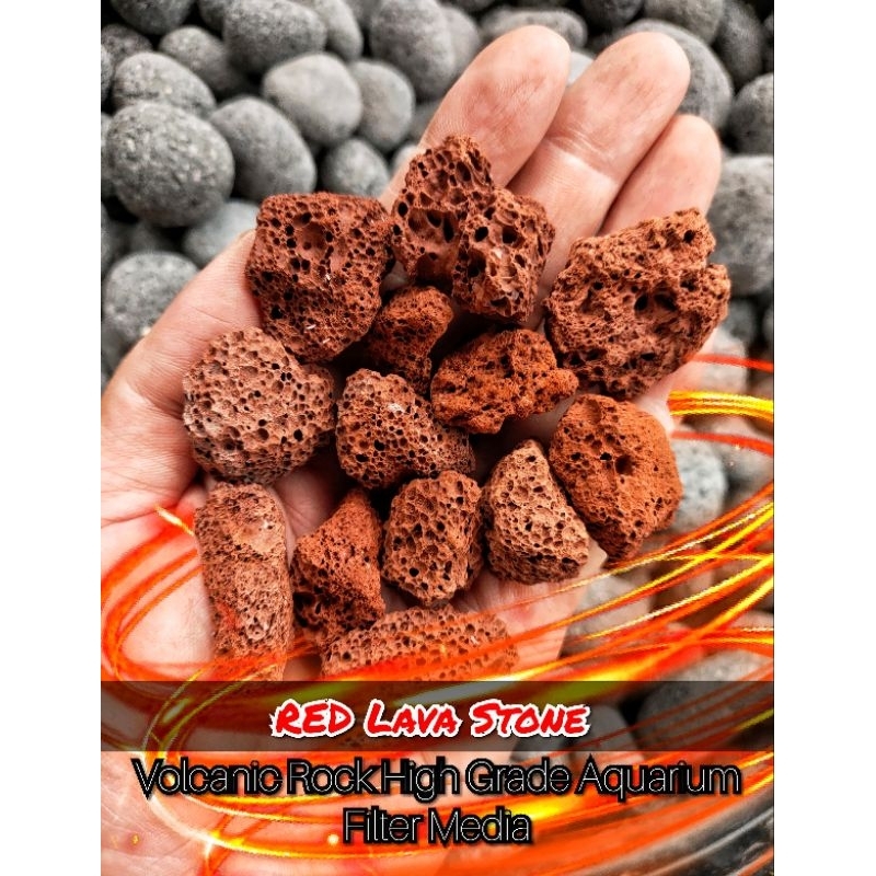 #หินลาวาสีแดง #หินคีรีก้า #หินปรับค่าpH #วัสดุกรองบำบัดน้ำ #วัสดุปลูกต้นไม้น้ำ