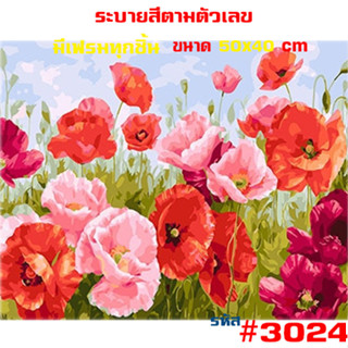 รูปวาด3024 ขึงเฟรมไม้ HOME DIY สินค้าอยู่ไทยพร้อมส่ง ภาพระบายสีตามตัวเลข ขนาด40x50cm ขึงเฟรมไม้!!