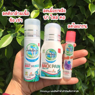 เซ็ตแก้ปวด Amrutanjan 3 ชิ้น Joint-Muscle Spray 30 ml + Advanced Back Pain Roll-on 30 g.+ New Amrutanjan Headache Faster