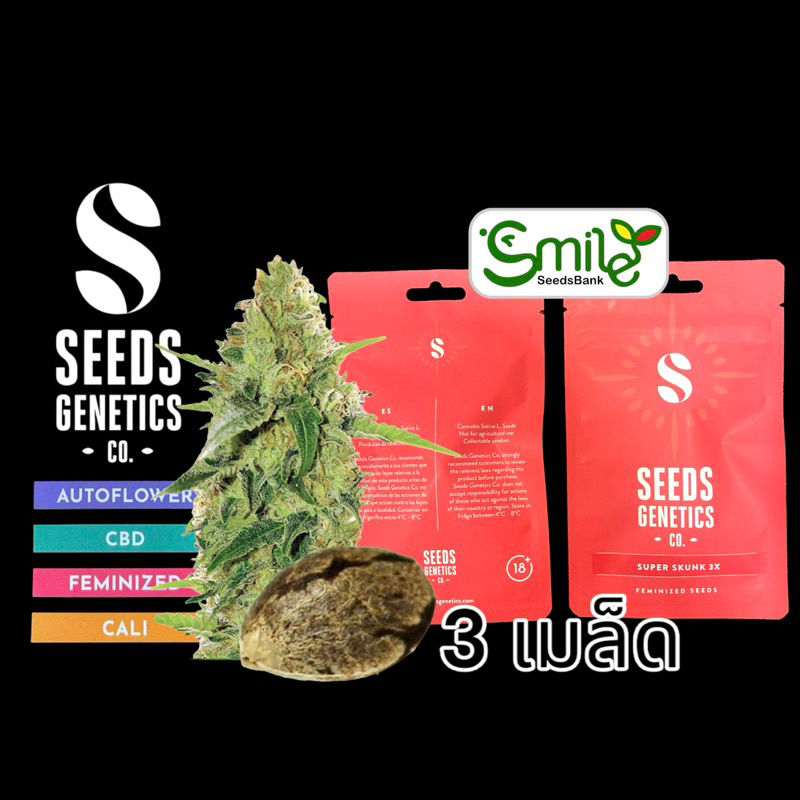 เมล็ดกัญชา Seeds Genetics - Super Skunk (Fem)