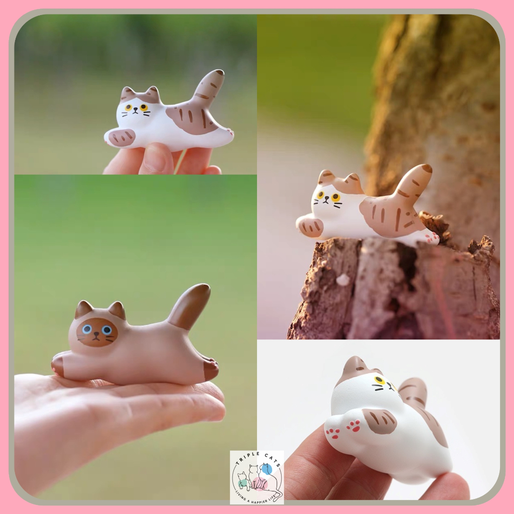 แม่เหล็กแมวกระโดด แม่เหล็กแมว แม่เหล็กติดตู้เย็น Cat Magnet 3D แม่เหล็กเรซิ่น แม่เหล็กน่ารัก แม่เหล็กรูปแมว - รูปที่ 4