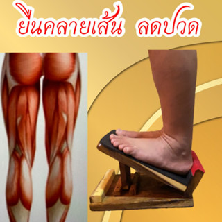 แท่นยืนเพื่อสุขภาพยืนคลายเส้น