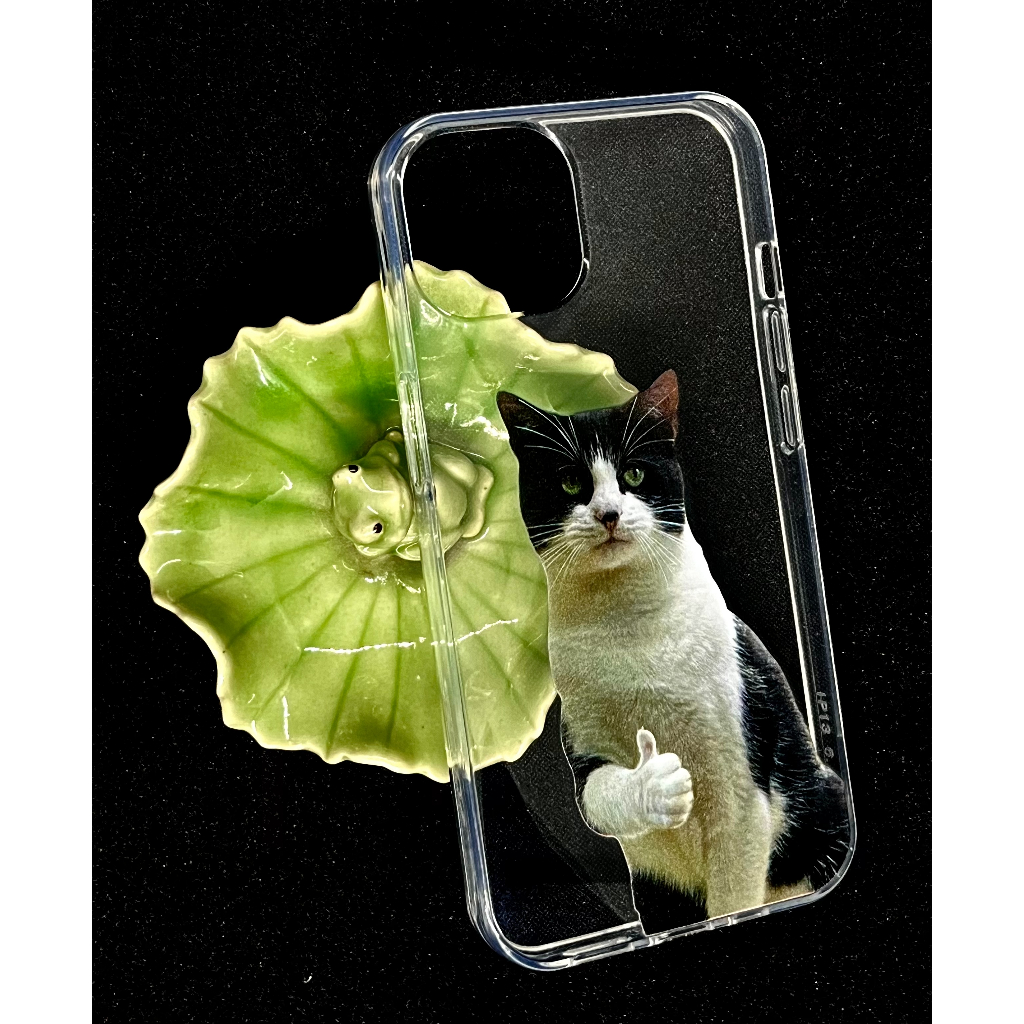 Case โทรศัพท์ I Phone (Hello  I'm Cat)