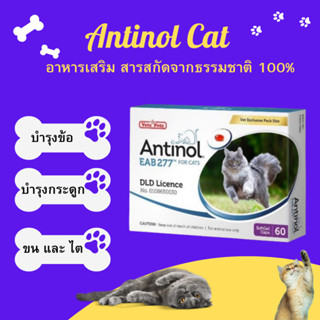 [ถูกสุด] Antinol แมว ช่วยบำรุงข้อ กระดูก ขน ผิวหนัง และไต (1 กล่อง 60 caps) สำหรับแมว