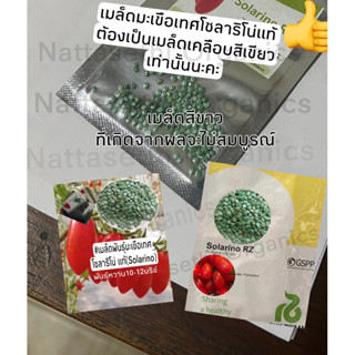 #เมล็ดพันธุ์มะเขือเทศโซลาริโน่(Solarino)แท้จำนวน5/10/30เมล็ดสายพันธุ์จากเนเธอร์แลนด์เมล็ดพันธุ์มะเขือเทศ(Solarino RZ F1)