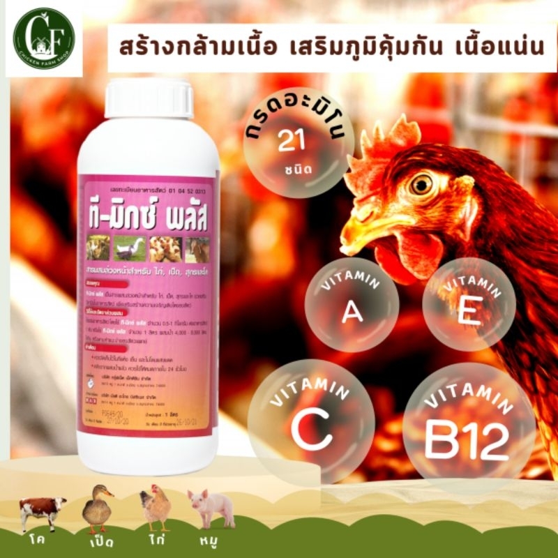 ที​ มิ​กซ์​พลัส(T Mix​ Plus)วิตามินรวม ราคา ถูกที่สุด ดีลบีเคเค แกลเลอรีภาพที่ 2