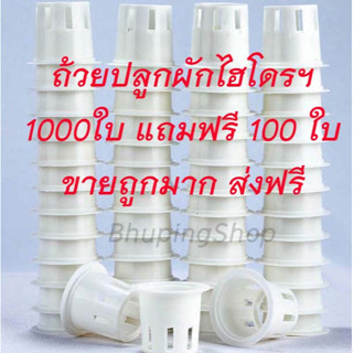 ถ้วยปลูกผักไฮโดรโปรนิกส์ (ชุด 1000 ใบ ฟรี 100ใบ) |กระถางปลูกผักสลัด ชุดถ้วยปลูกผักไฮโดรฯ พลาสติกหนา ทนทาน ใช้ซ้ำได้