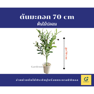 ต้นมะกอก ต้นมะกอกปลอม ต้นไม้ปลอม Olive Tree สูง 70 cm เซ๊ตนี้ ฟรีหิน รวมกระถาง 6 นิ้วสีขาว