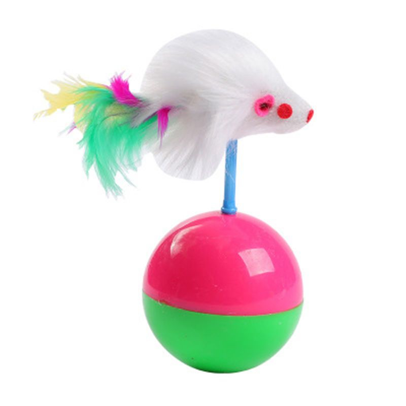 รูปภาพ 4