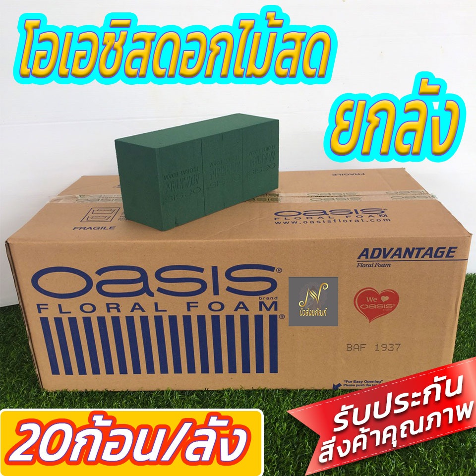 โฟมปักดอกไม้ โอเอซิส ยี่ห้อ oasis รุ่น ADVANTAGE 1กล่อง โฟมจัดดอกไม้ โฟมเสียบดอกไม้ โฟมก้อน โอเอซีส อุปกรณ์จัดดอกไม้