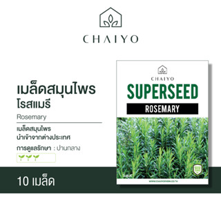 เมล็ด ROSEMARY สมุนไพรโรสแมรี