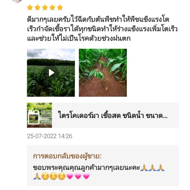 ไตรโคเดอร์มา เชื้อสด ชนิดน้ำ ขนาด 1 ลิตร กำจัดโรค เชื้อรา ราก โคนเน่า ใบหงิก ใบจุด ดิน ต้นไม้ Trichoderma green park รูปที่ 3