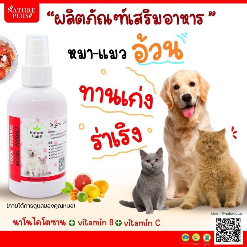 วิตามินหมาแมวอ้วน บำรุงร่างกายสุนัขและแมว ให้เจริญอาหาร
