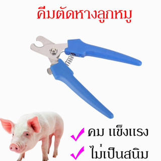 กรรไกรดัดหางหมู กรรไกรตัดหางสุกร คีมตัดหางหมู คีมตัดหาง ป้อนกันลูกหมูกัดหาง ตีกัน คีมตัดหางหมู