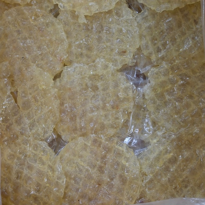 ปลาริวกิวกลมเนื้อหนาหวานขนาด500กรัม