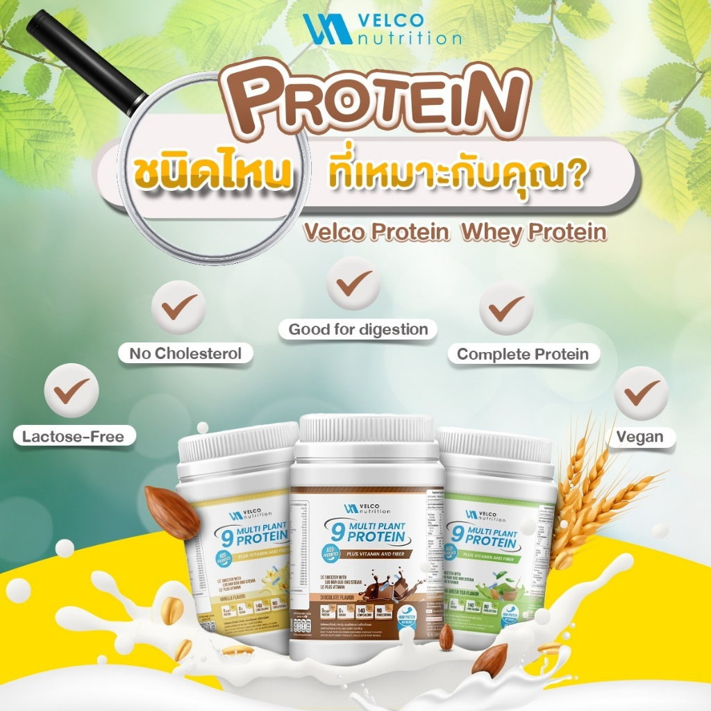 Velco Nutrition โปรตีนจากพืช 9 ชนิด ผสมวิตามิน และ พรีไบโอติก Multi Plant protein Vitamin prebiotics
