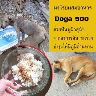 ผงมะเดื่อผสมอาหาร ปัญหา ผิวหนัง ขนร่วง เสริมภูมิต้านทาน กินง่าย