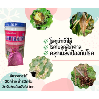 เมทาแลกซิล Metalaxyl สารป้องกัน-กำจัดเชื้อรา โรครากเน่า โคนเน่า [5-017]