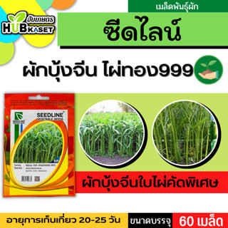 ซีดไลน์ 🇹🇭 ผักบุ้งใบไผ่คัดพิเศษ ไผ่ทอง 999 ขนาดบรรจุประมาณ 60 เมล็ด อายุเก็บเกี่ยว 20-25 วัน