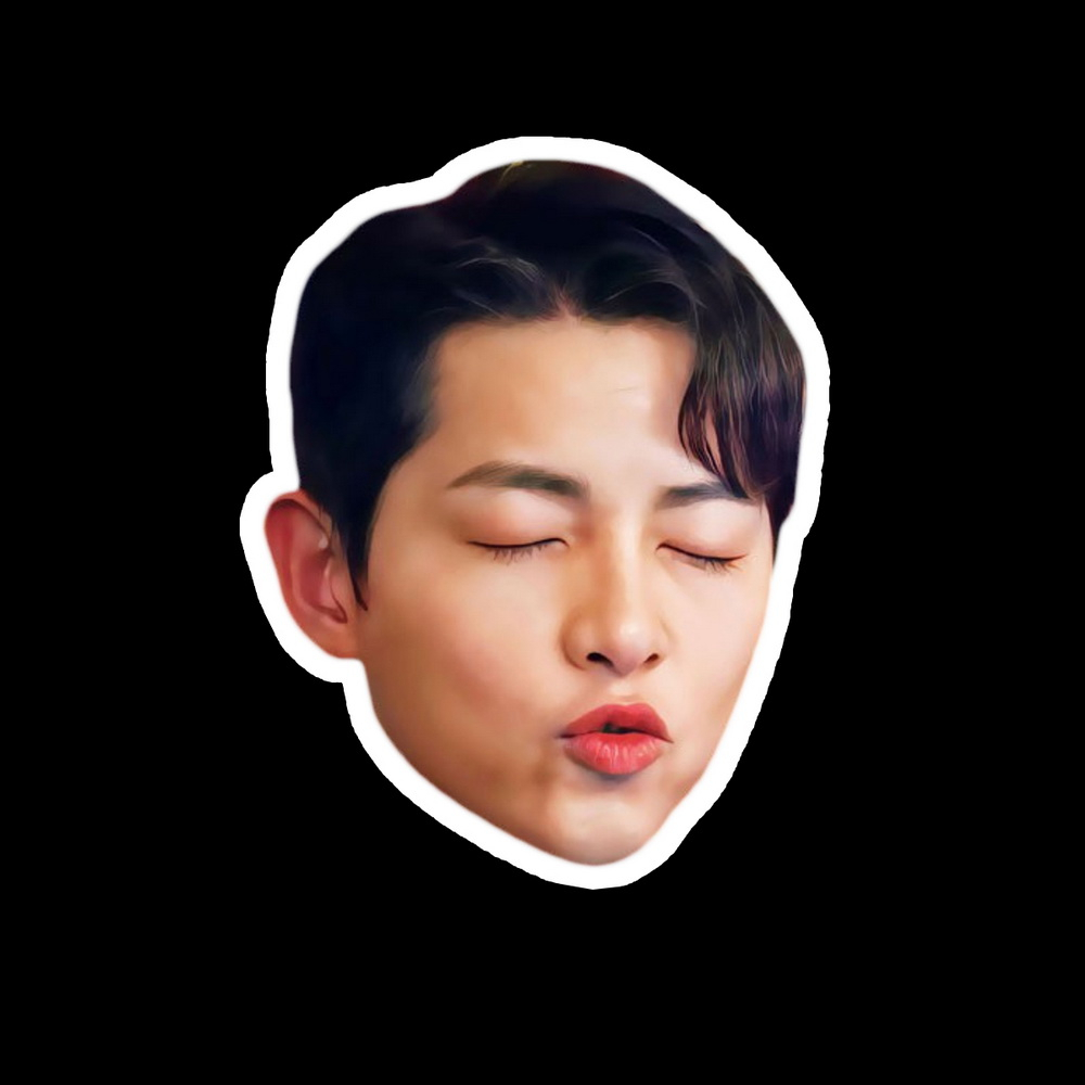 สติ๊กเกอร์กันน้ำ สติ๊กเกอร์ติดรถ แม่เหล็กติดตู้เย็น ไดคัทหน้าคน สัตว์เลี้ยง DCUT201 ซงจุงกิ Song Joo