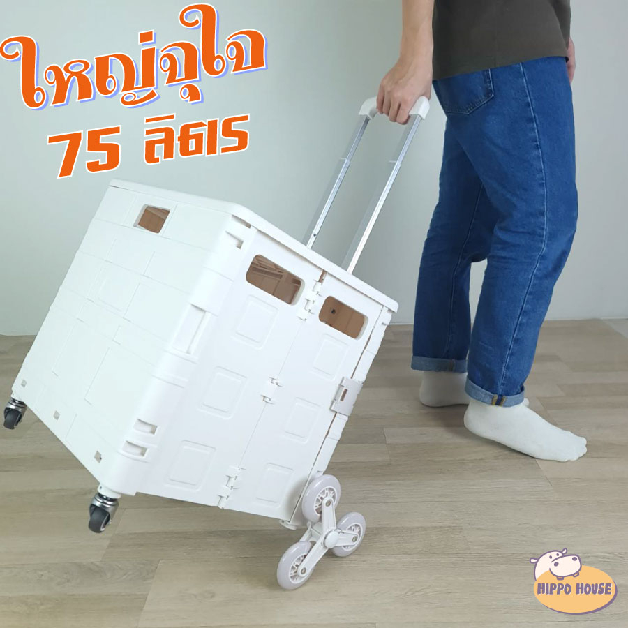 รถเข็นพับได้ ตะกร้ารถเข็น ล้อหมุน 360องศา พับเก็บสะดวก ขนาดใหม่ใหญ่กว่า 2 ไซส์ 4 สี ล้อ 3 รุ่น