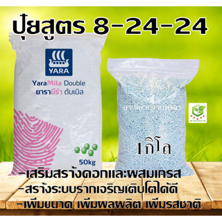 ปุ๋ยสูตร 8-24-24 ตราเรือใบไวกลิ้ง1kg. เสริมสร้างดอก ผสมเกสร สร้างระบบราก รากเจริญเติบโตเพิ่มขนาด เพิ่มผลผลิต ปุ๋ยใส่ดิน