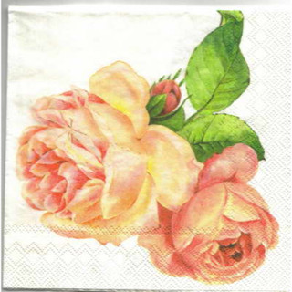 Pladao Napkin ภาพดอกไม้ ดอกกุหลาบส้ม พื้นขาว Rose ดอกใหญ่ กระดาษ แนพกิ้น สำหรับงานศิลปะ เดคูพาจ decoupage ขนาด L 33x33