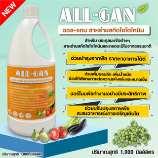 ปุ๋ยน้ำตระกูลมะเขือ1000ML.ดอกดก ติดลูกดี ขั้วเหนียวลดดอกร่วง ผลไม่แตกALL GANสาหร่ายสกัดไซโตไคนินบำรุงรากกระตุ้นการเติบโต