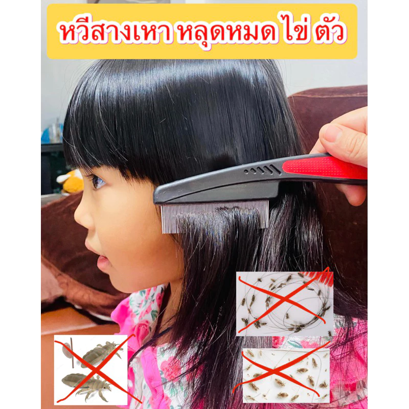🇹🇭 ร้านไทย 🇹🇭 หวีสางเหา หวีสางไข่เหา หวีเสนียด