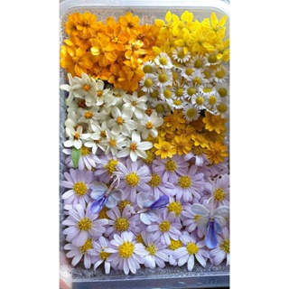 ดอกไม้กินได้ (Edible Flower)ทักแชทก่อนสั่ง🌸200-350ดอก