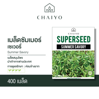 เมล็ด SUMMER SAVORY ซัมเมอร์ เซเวอรี่