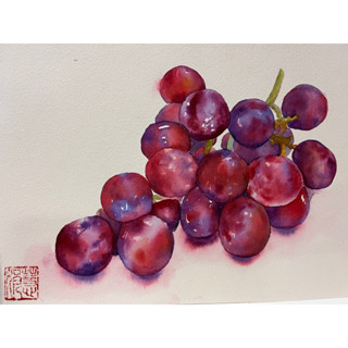 🍇 Grapes องุ่น ภาพวาดสีน้ำ